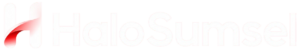 halosumsel.co.id