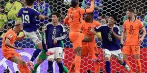 Koeman Sentil Kesombongan Belanda Usai Gagal Menang Atas Jepang