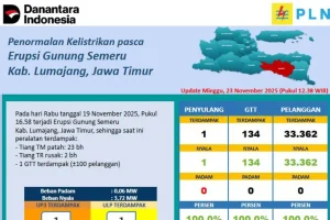 PLN Pastikan Pulihnya Listrik Jawa Tengah Setelah Gangguan Teknis