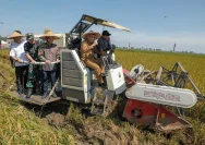 Produksi Padi Jateng Mencapai 6,69 Juta Ton, Ahmad Luthfi Siapkan Strategi Atasi Kemarau