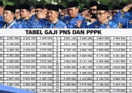 Gaji PPPK Sudah Masuk APBN, Alih Status PNS Tanpa Batasan Usia Segera Direalisasikan